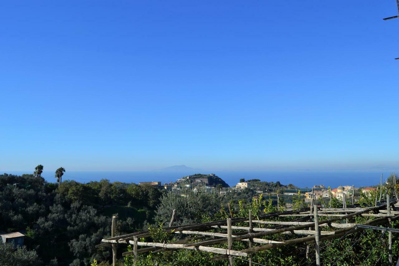 Apartamento Il Viale Massa Lubrense Exterior foto