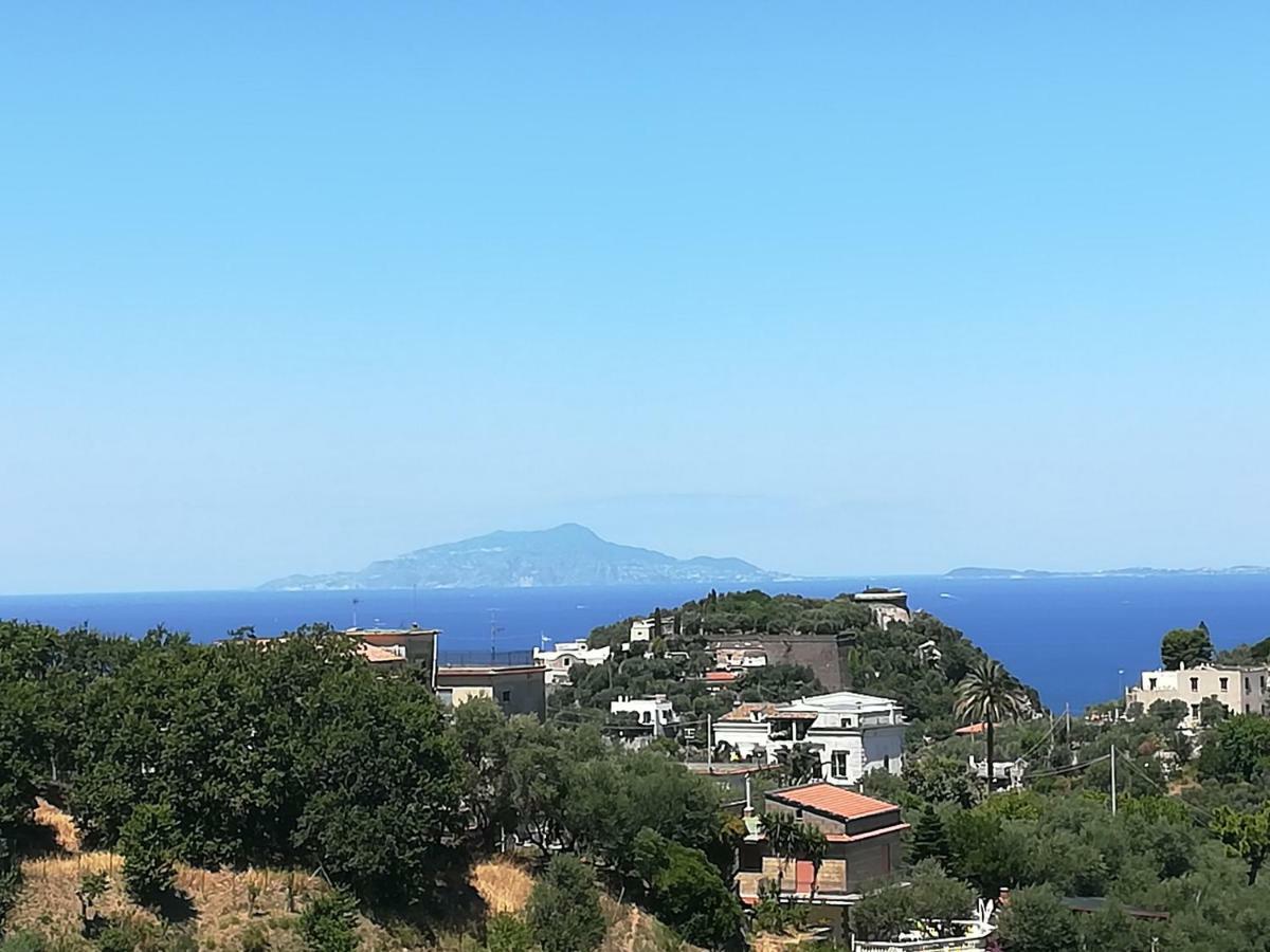 Apartamento Il Viale Massa Lubrense Exterior foto
